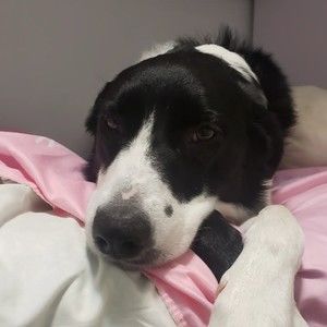 Meet your Posher, Arriane